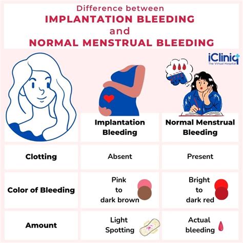 Implantation Bleeding Look Like