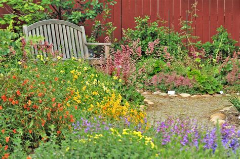 The basics needed for a backyard wildlife habitat