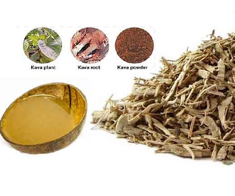 Kava tea benefits