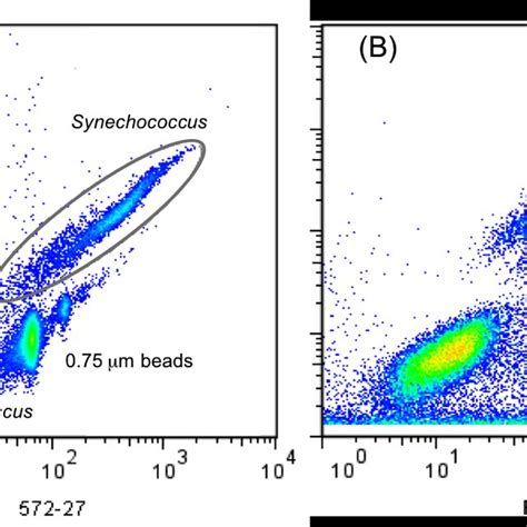 Figure S1. (A) Distributions of Prochlorococcus, Synechococcus and ...