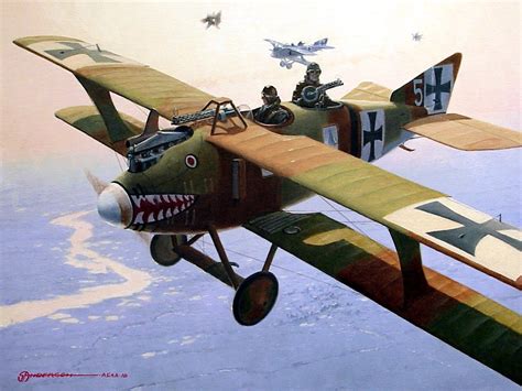 1917 03 Roland CII over the Western Front | Aircraft art, Aircraft painting, Vintage aircraft