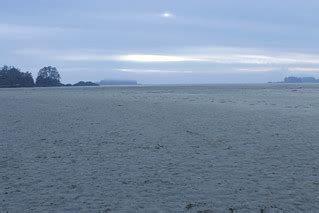 Disapppearing into the fog, Chesterman Beach getting close… | Flickr