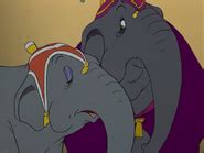 Elephant Matriarch - TV Galleries Wiki