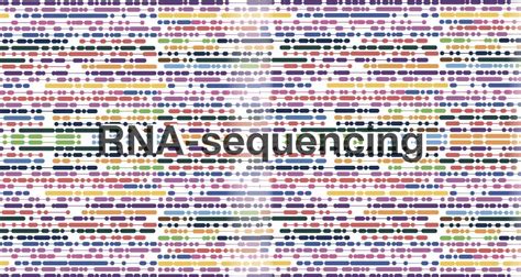 RNA Sequencing- Principle, Steps, Methods And Applications