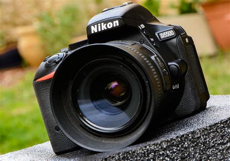 Фотографии Nikon – Telegraph