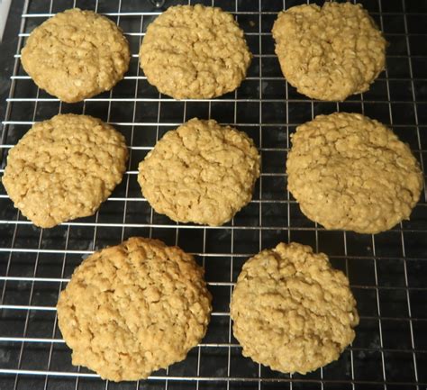 Homemade oat biscuits - similar to Hobnobs! - Katykicker