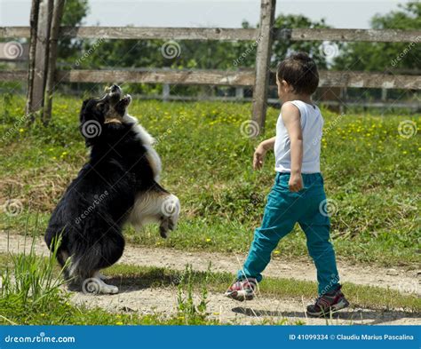 Cute Boy Playing Fetch with His Dog Stock Photo - Image of kids ...