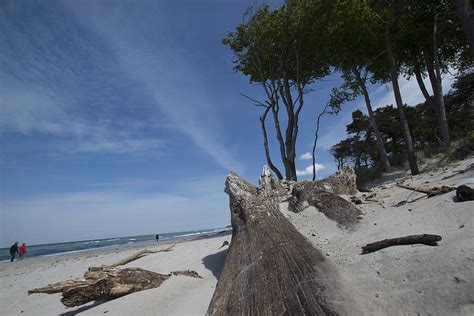 Beach Landscape At West Beach In The Western Pomerania Lagoon Area ...