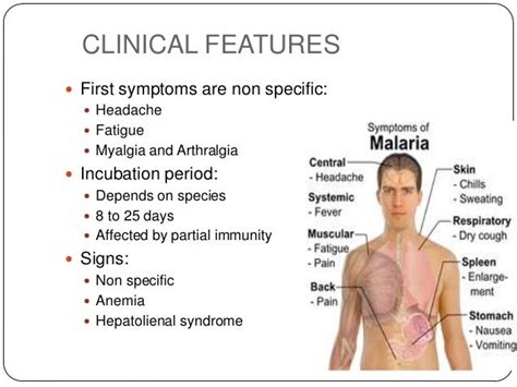 THE DEADLY MALARIA: Signs and symptoms of Malaria