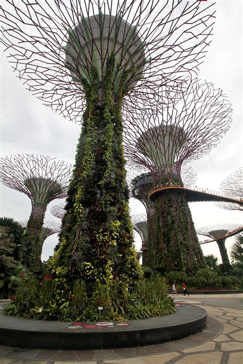 Supertree Grove: A Perfect Balance Between Nature and Technology at ...