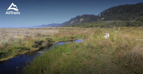 Best Trails in Prairie Creek Redwoods State Park - California | AllTrails