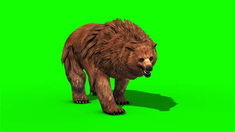 Brown BEAR Roar - 3D Model Animated - PixelBoom