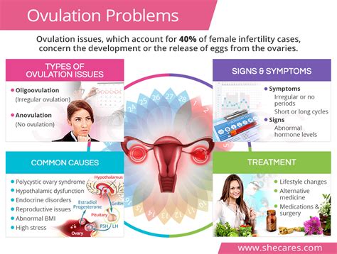 Ovulation Problems | SheCares