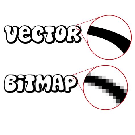 Bitmap and Vector Graphics | 1.2K plays | Quizizz