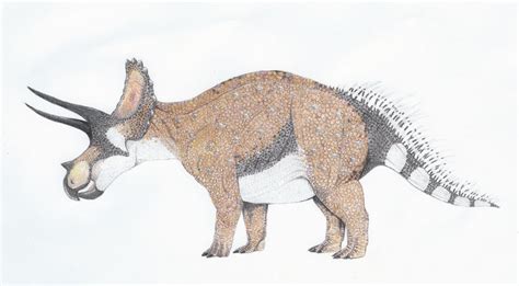 Triceratops horridus by yoult on DeviantArt