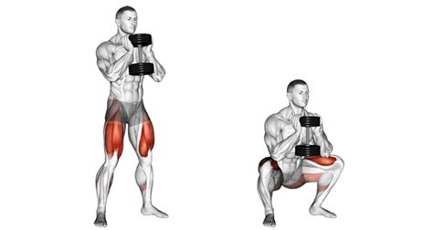 What Muscles Do Goblet Squats Work - Rectangle Circle