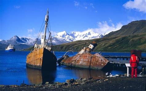 How to Visit Grytviken Whaling Station, South Georgia – Dark Tourists