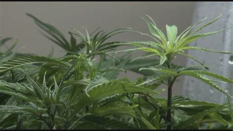 Legalized pot, stadium repairs; Wisconsin GOP kills plans | FOX6 Milwaukee