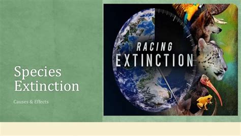 Species Extinction- Reasons and Effects?