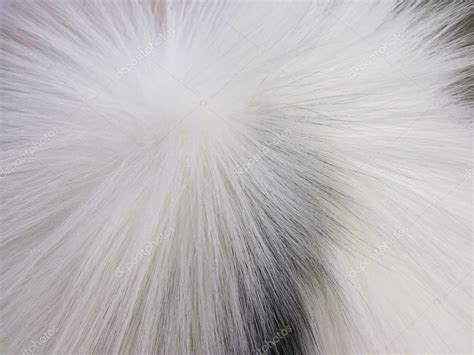 White fox fur — Stock Photo © Andriuss #4679521