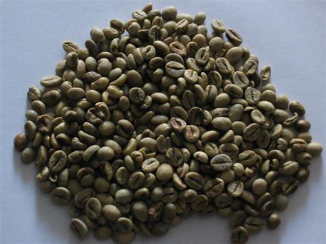 robusta coffee beans | Daily Coffee News by Roast Magazine