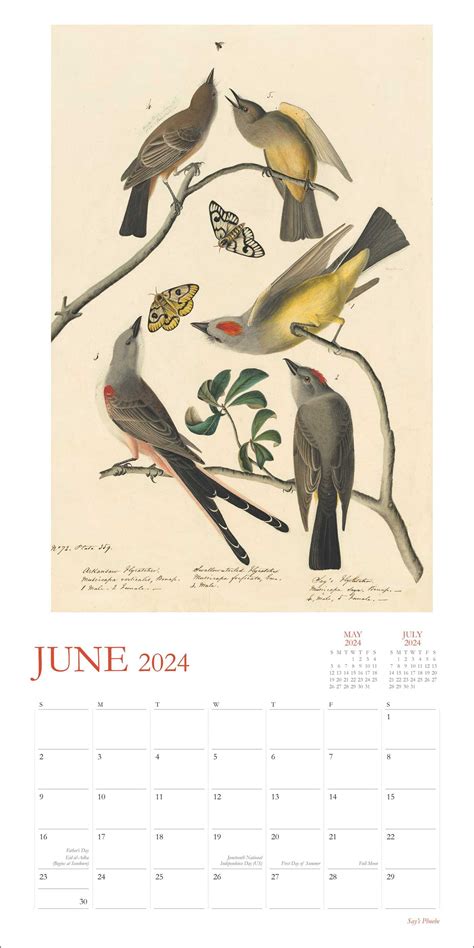 Audubon Birds Calendar 2024 - Flori Therine