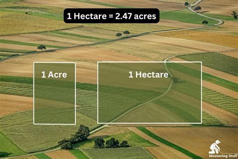 How Big Is A Hectare Visually? – Measuring Stuff