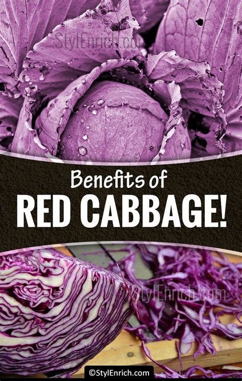 Red Cabbage Health Benefits for Immunity and Weight Loss!