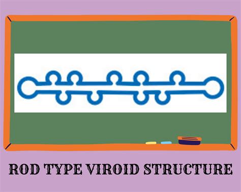 How much do you know about viroids and virusoids? - My Biology Dictionary