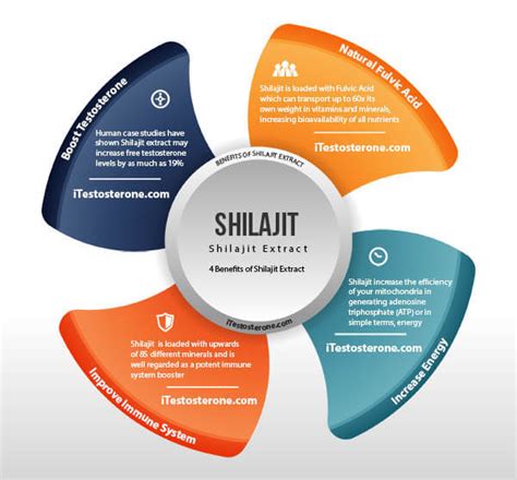 Shilajit Increases Free Testosterone 19% and Provides Fulvic Acid!