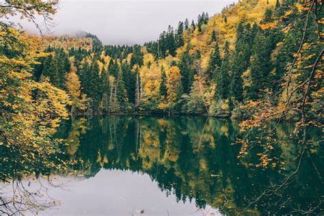 Premium Photo | Autumn forest by the lake