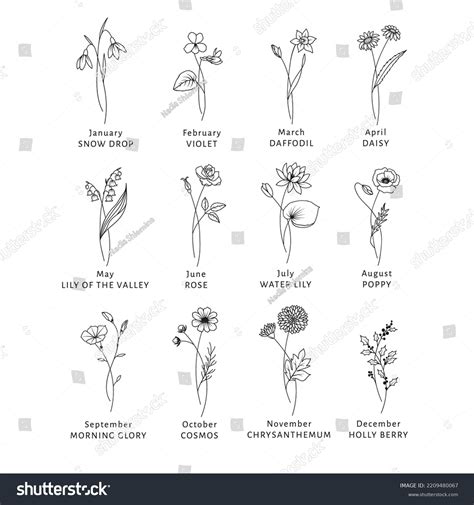 Free Birth Flower Chart, With Meanings