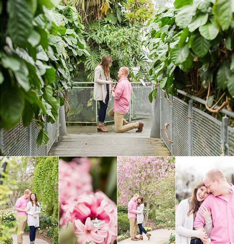 Cleveland Botanical Garden Marriage Proposal | Gordon + Christine