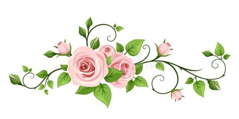 Pink rose vine. Vector illustration. Vector pink rose vine on a white background , #Ad, #vine, # ...