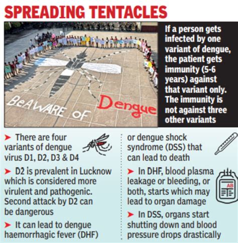 Dengue's most harmful D2 variant found in most patients in the Lucknow ...