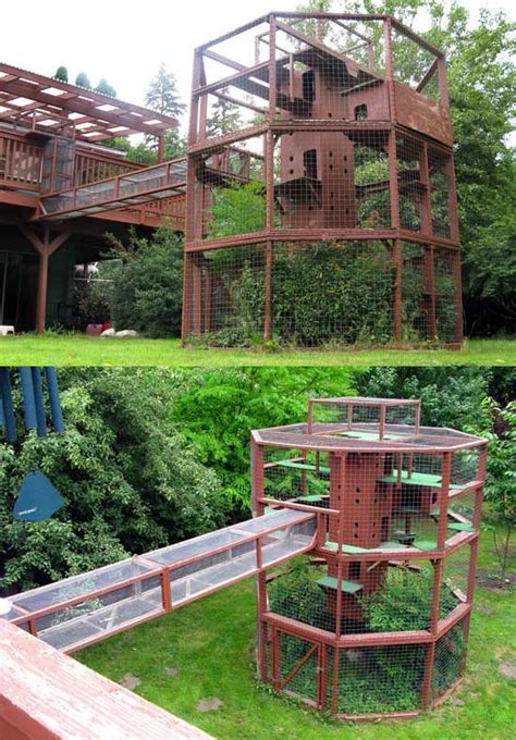 outdoor catio Diy Cat Enclosure, Outdoor Cat Enclosure, Pet Enclosures, Cat Run, Cat Towers ...