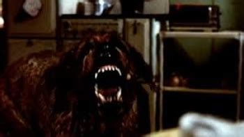 Cujo Movie Review | Common Sense Media