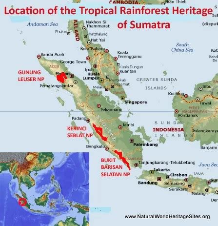 Tropical Rainforest Heritage of Sumatra - Natural World Heritage Sites