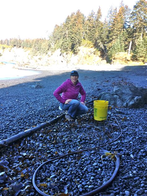 Kari harvesting bull kelp in her Skhhop Down Hoody, Homer, Alaska | Alaska, Packing tips, Fall 2014