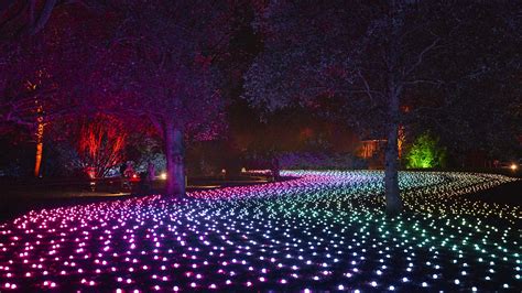 After-Dark Light Festival Lightscape Will Brighten Up the Brisbane City Botanic Gardens This ...