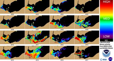 NOAA, partners predict large summer harmful algal bloom for western ...