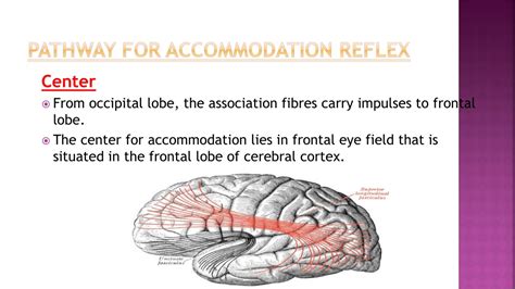 PPT - Accommodation reflex opthamalogy mbbs pptx slides PowerPoint ...