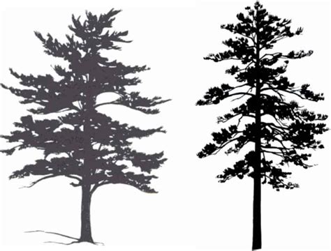 aspen tree clipart silhouette 10 free Cliparts | Download images on Clipground 2024