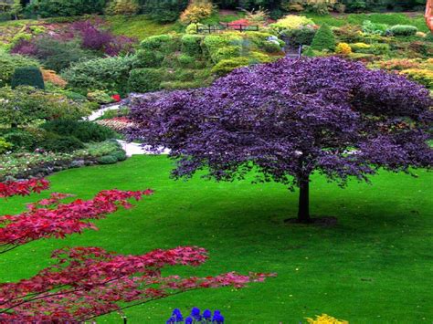 Garden Screensavers and Wallpaper - WallpaperSafari