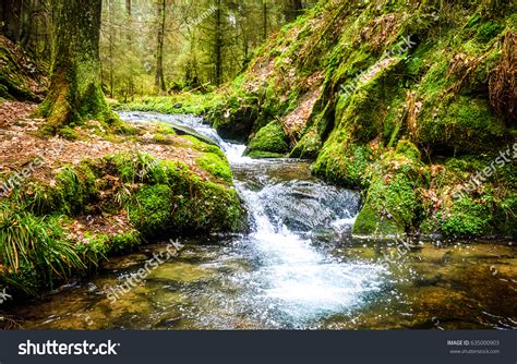 Stream-waterfall-forest Stock Photos, Images & Photography | Shutterstock