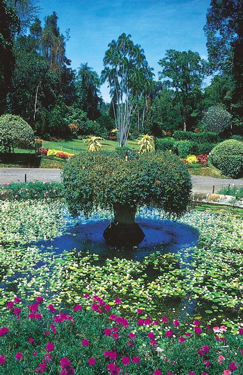 Peradeniya Botanic Gardens | Map, Kandy, Sri Lanka, & Facts | Britannica