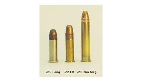 Survival Ammunition: .22 WMR - RedTea News