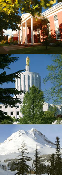 Campus Life and Beyond | Willamette College of Law