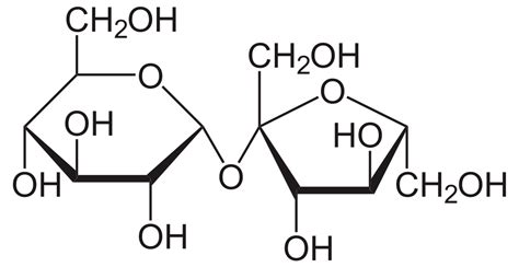 What is the Difference Between Sucrose and Sucralose | Compare the Difference Between Similar Terms