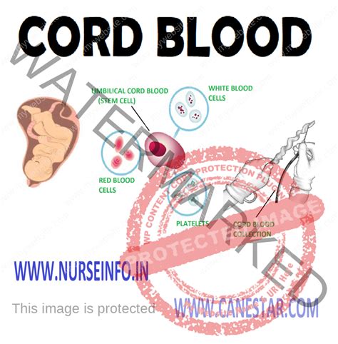 CORD BLOOD BANKING - Nurse Info